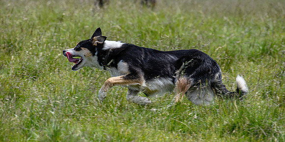 210626 Badanloch Trial 127