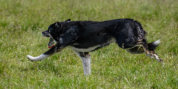 210626 Badanloch Trial 165