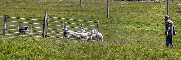 210626 Badanloch Trial 205
