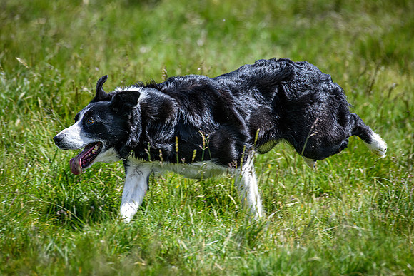 210626 Badanloch Trial 178