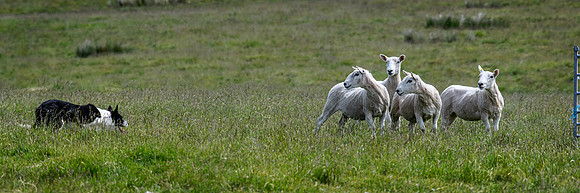 210626 Badanloch Trial 142