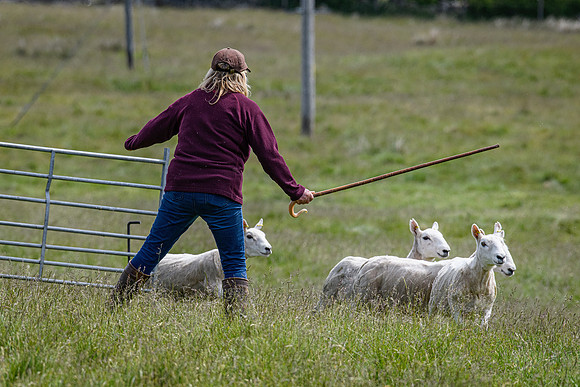 210626 Badanloch Trial 126