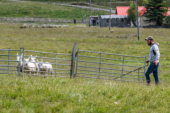 210626 Badanloch Trial 119
