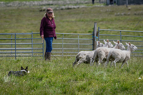 210626 Badanloch Trial 128