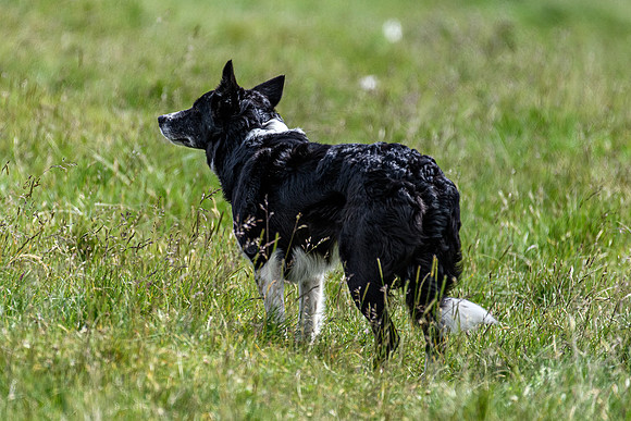 210626 Badanloch Trial 018