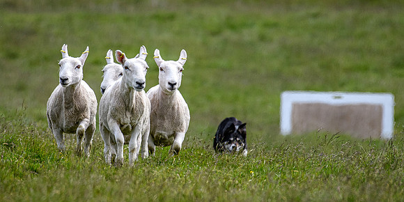 210626 Badanloch Trial 095