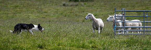 210626 Badanloch Trial 144