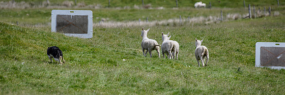 210626 Badanloch Trial 139