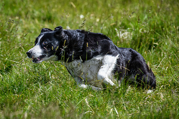210626 Badanloch Trial 175