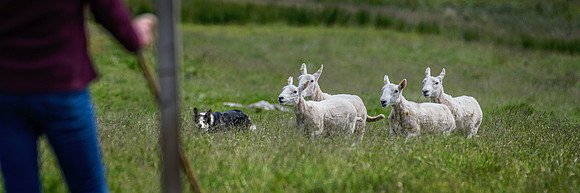 210626 Badanloch Trial 122
