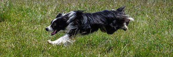 210626 Badanloch Trial 206