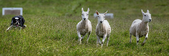 210626 Badanloch Trial 107
