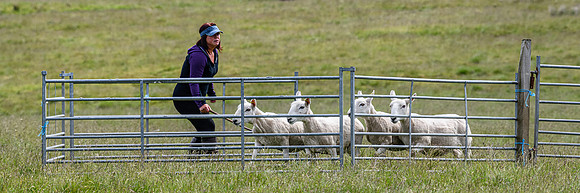 210626 Badanloch Trial 102