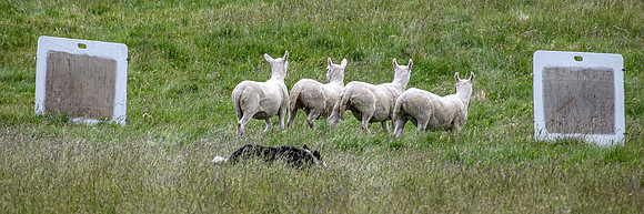 210626 Badanloch Trial 061