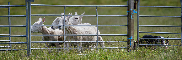 210626 Badanloch Trial 133