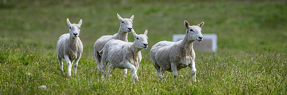 210626 Badanloch Trial 138