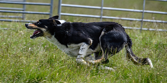 210626 Badanloch Trial 115