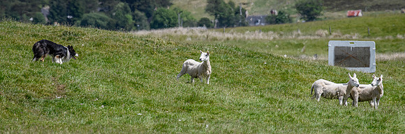 210626 Badanloch Trial 204