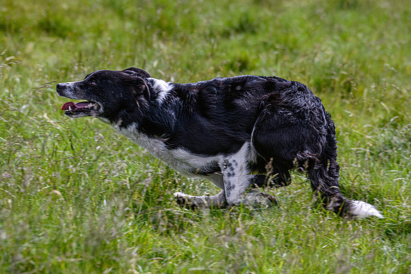210626 Badanloch Trial 031