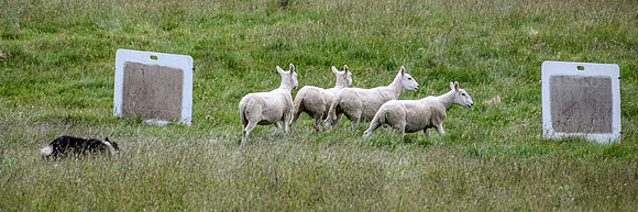 210626 Badanloch Trial 060