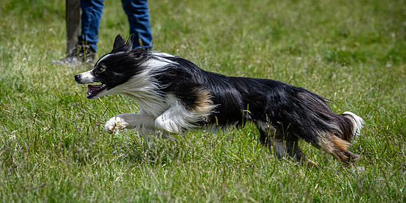 210626 Badanloch Trial 201