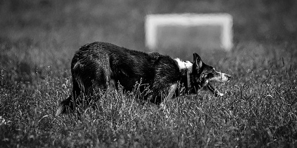 210626 Badanloch Trial 167