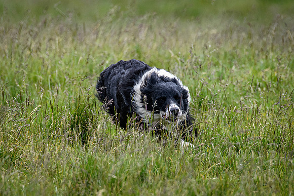 210626 Badanloch Trial 057
