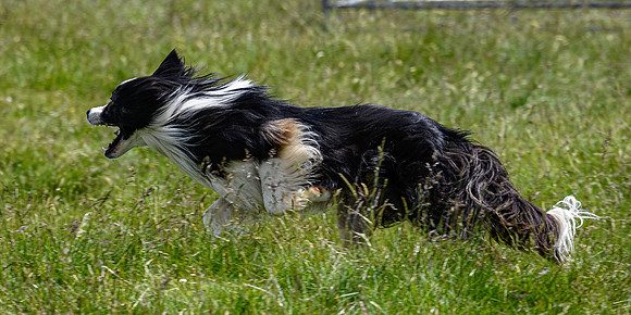 210626 Badanloch Trial 207
