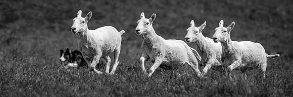 210626 Badanloch Trial 173