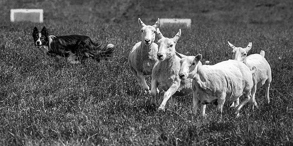 210626 Badanloch Trial 199