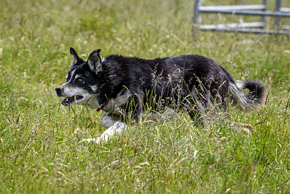 210626 Badanloch Trial 047
