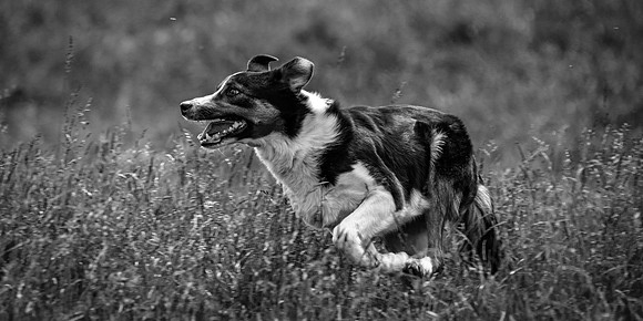 210626 Badanloch Trial 079