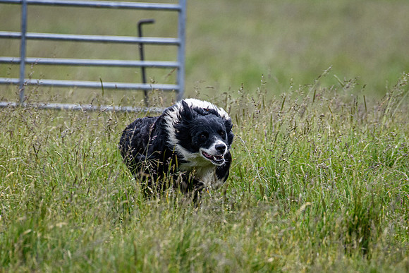210626 Badanloch Trial 056