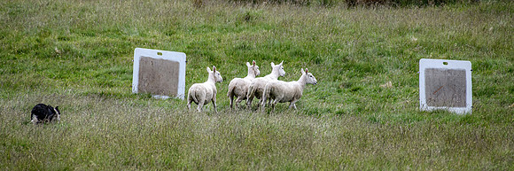 210626 Badanloch Trial 059