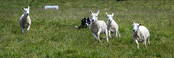 210626 Badanloch Trial 197