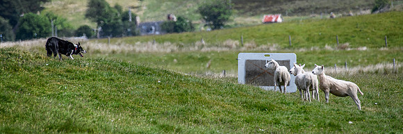 210626 Badanloch Trial 162
