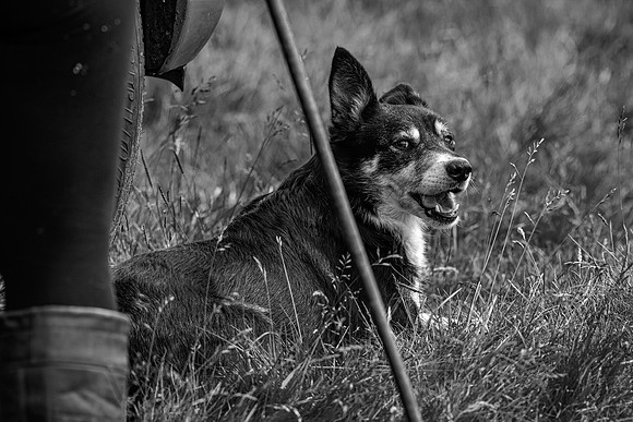 210626 Badanloch Trial 088