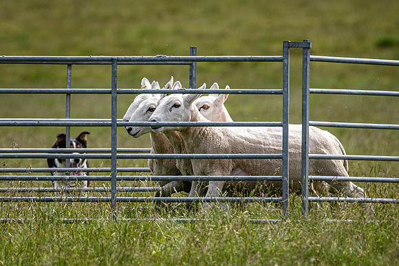 210626 Badanloch Trial 082