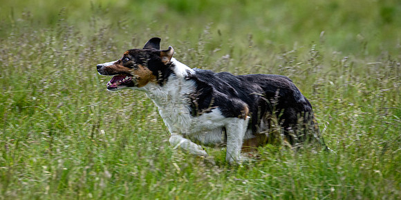 210626 Badanloch Trial 080