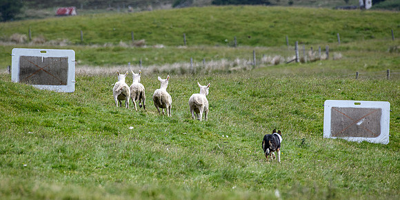 210626 Badanloch Trial 076