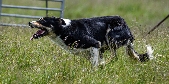 210626 Badanloch Trial 113