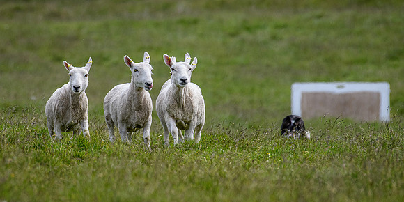 210626 Badanloch Trial 094