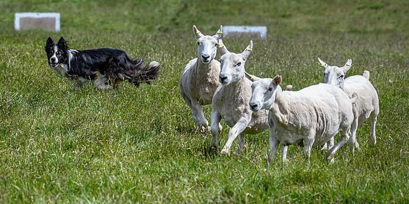 210626 Badanloch Trial 198