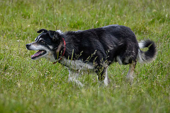 210626 Badanloch Trial 051