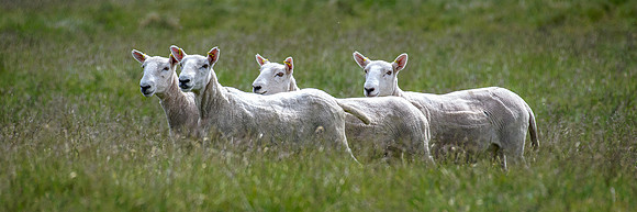 210626 Badanloch Trial 098