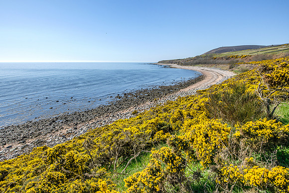 250407 Helmsdale 049