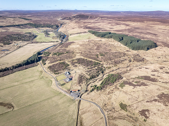 260306 Braemore 055