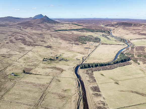 260306 Braemore 062