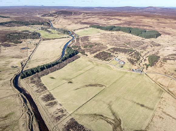 260306 Braemore 059
