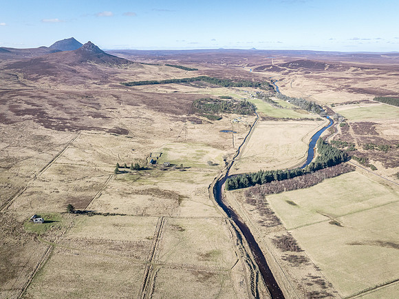 260306 Braemore 064